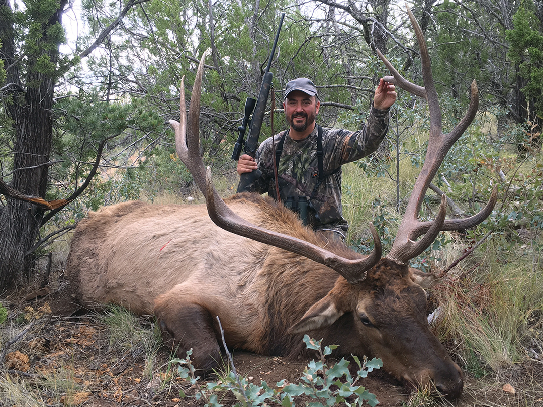 A short-barreled New Ultra Light Arms .308 Winchester (a highly versatile cartridge with comparatively light recoil) was used on this New Mexico bull shot inside 400 yards.